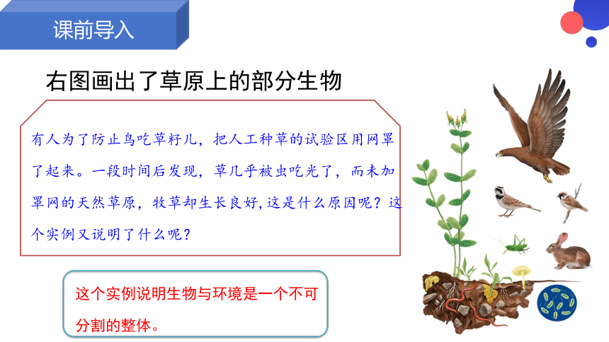 1.2.2 生物与环境组成生态系统 课件 (共20张PPT)人教版生物七年级上册