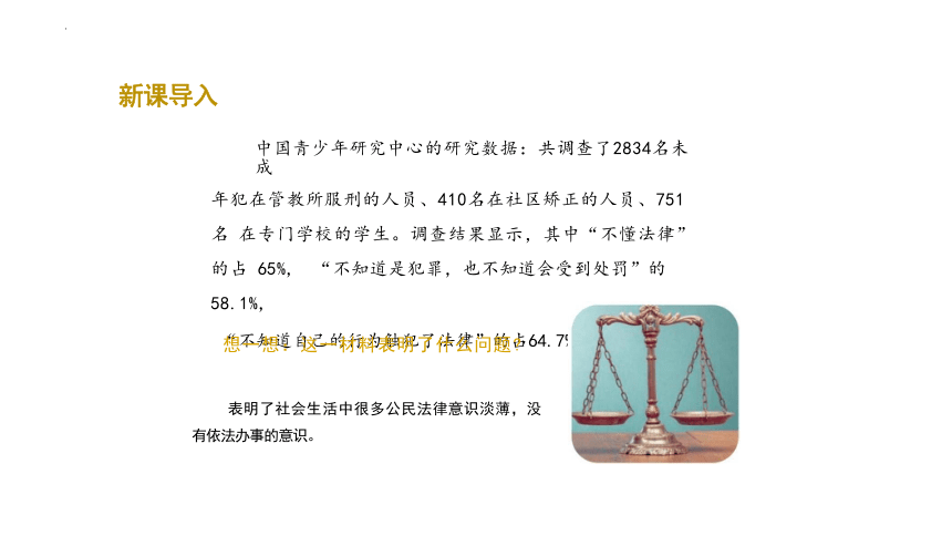 10.2 我们与法律同行 课件(共22张PPT)-2023-2024学年统编版道德与法治七年级下册