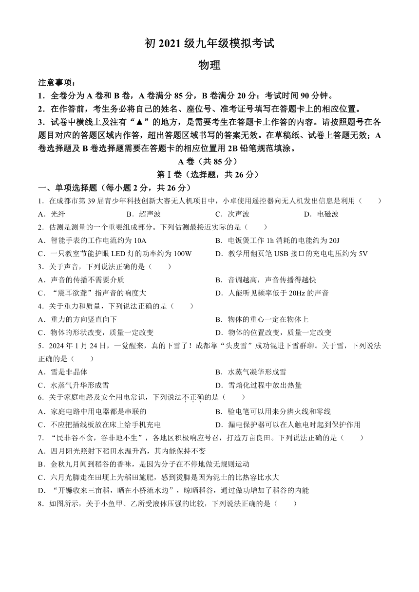 2024年四川省成都市金堂县九年级中考二诊模拟考试物理试题（含答案）