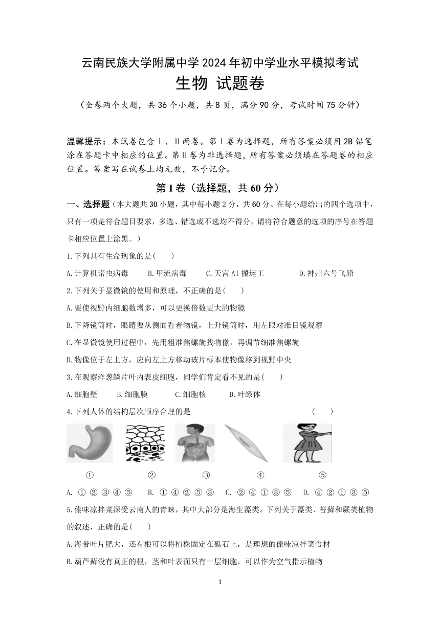 云南民族大学附属中学2024年初中学业水平模拟考试生物试题（pdf版无答案）