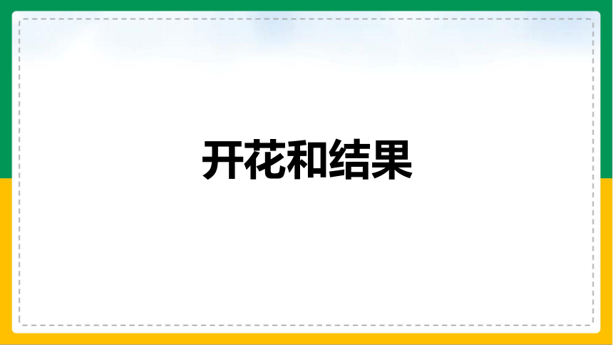 3.2.3 开花和结果课件(共32张PPT＋内嵌视频1个)人教版初中生物七年级上册