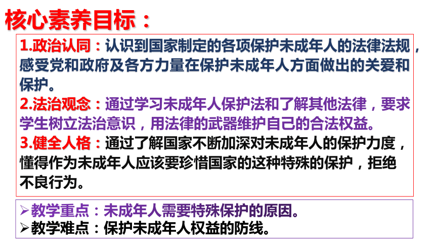 （核心素养目标）10.1 法律为我们护航 课件（共24张PPT）