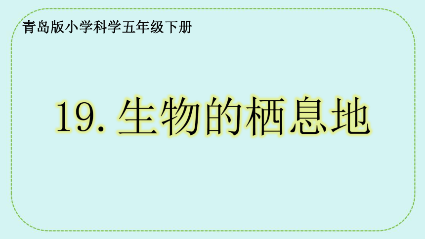 青岛版（六三制2017秋）五年级下册科学  5.19生物的栖息地 课件(共22张PPT)