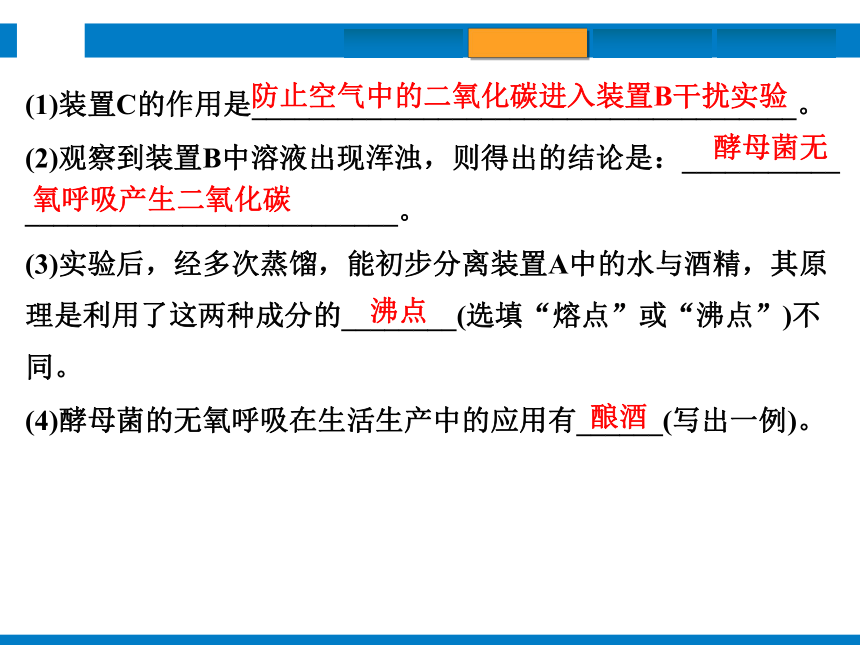 2024浙江省中考科学复习第36讲　二氧化碳（课件  31张PPT）