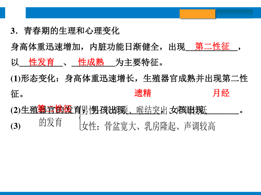2024浙江省中考科学总复习第3讲　人与动物的生殖和发育（课件 30张PPT）