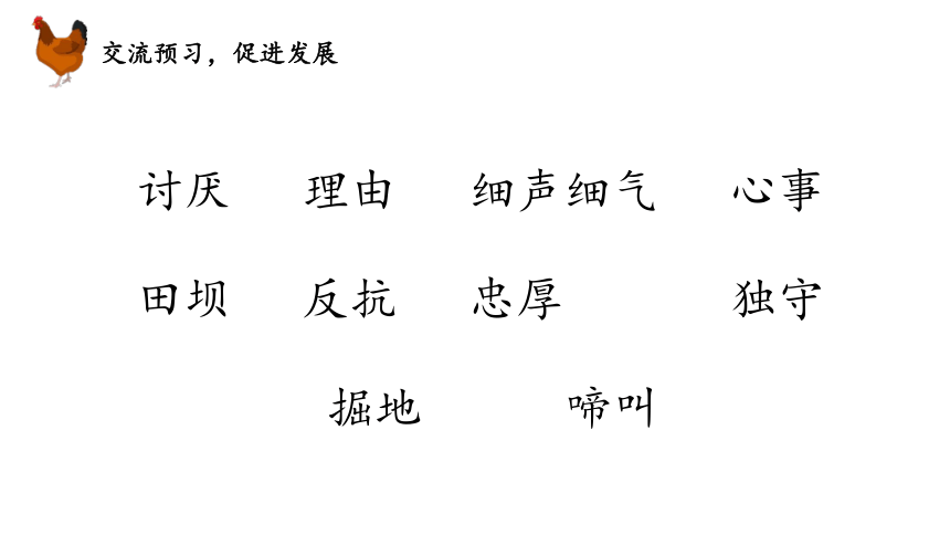 14.母鸡 课件（30张）