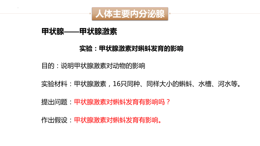 4.12.1激素调节课件(共30张PPT)2023--2024学年苏教版生物七年级下册