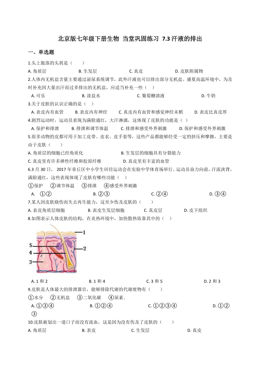 北京版7下生物 7.3汗液的排出 同步练习（含答案）