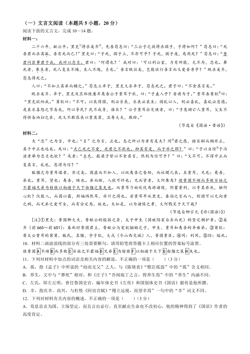 山东省济南市实验中学2023-2024学年高三下学期5月针对性考试语文试题（含答案）