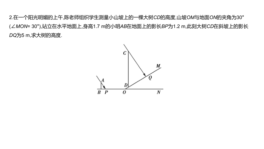 北师大版九年级上册数学第五章  投影与视图素养拓展+中考真题课件（42张PPT)