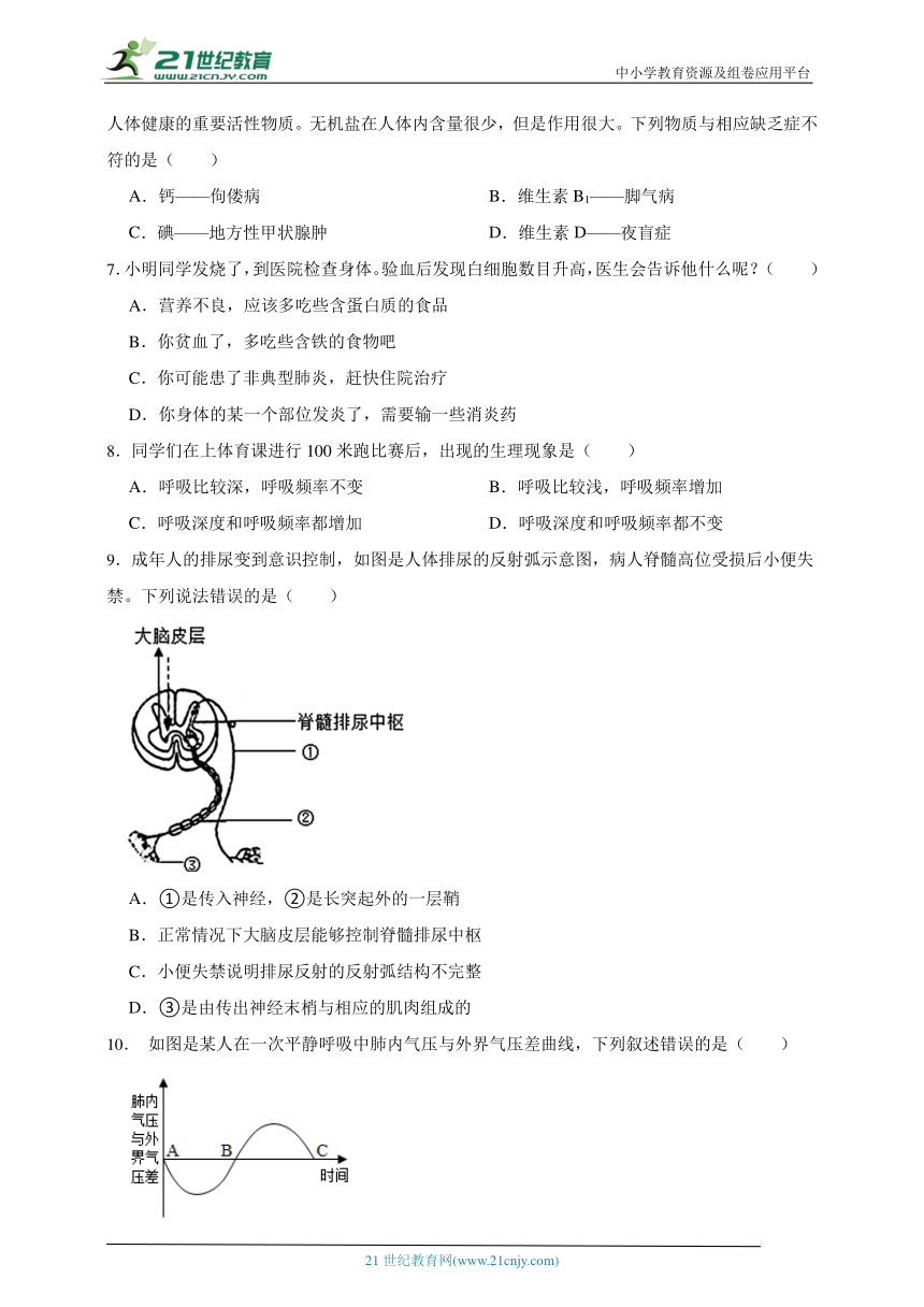 【查漏补缺】北师大版生物七年级下册期末训练卷二（含答案）