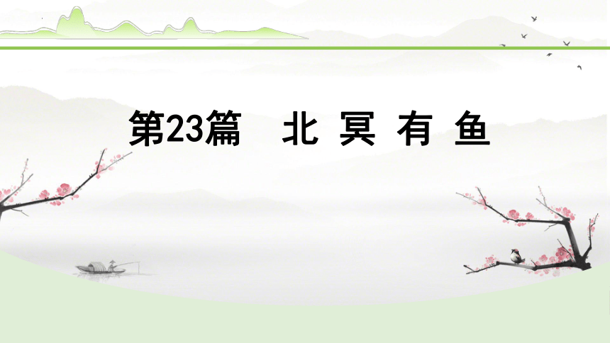 2024年中考语文备考文言文梳理与迁移训练 -《北冥有鱼》课件(共21张PPT)