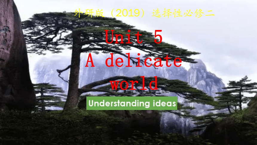 外研版（2019）选择性必修第二册Unit 5 A delicate world Understanding ideas 课件(共18张PPT)