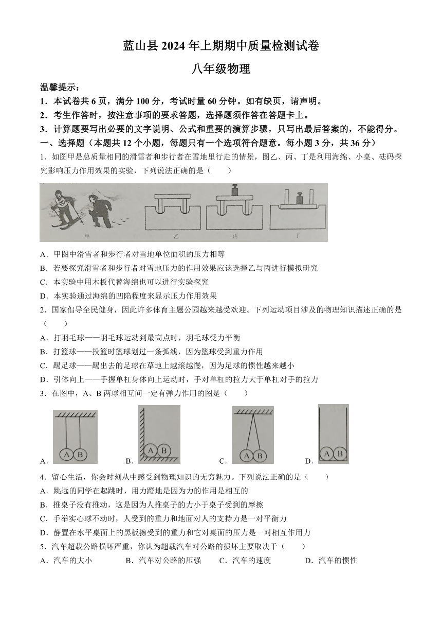 湖南省永州市蓝山县2023-2024学年八年级下学期4月期中物理试题（含答案）