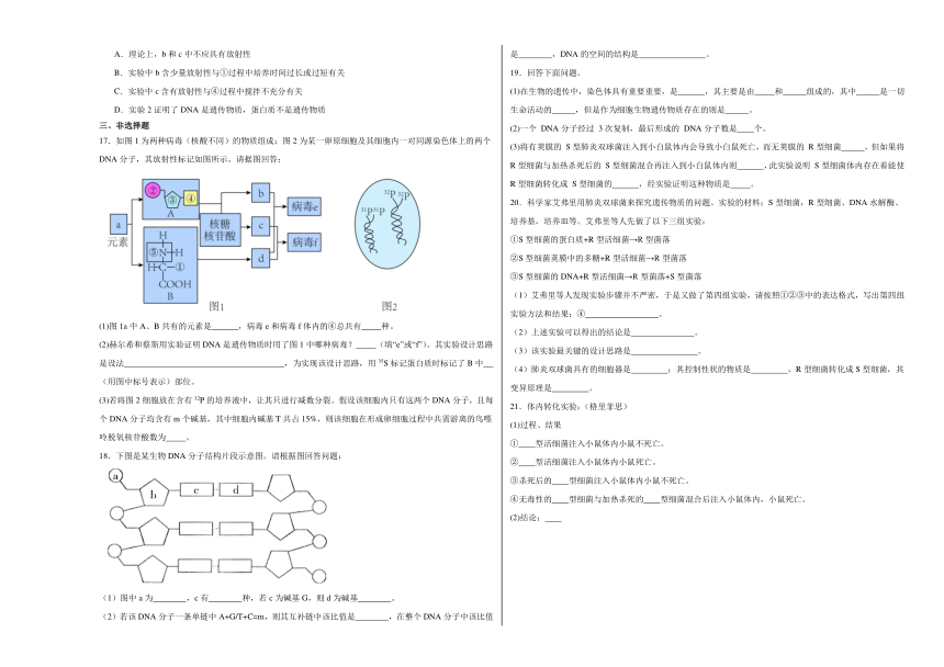 第3章 基因的本质 单元测试（含解析）-2023-2024学年高一下学期生物人教版必修2