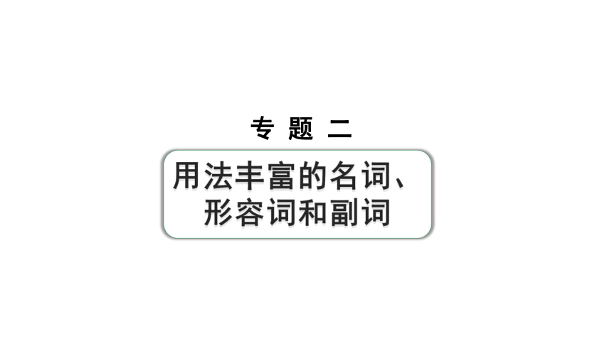 2024成都中考英语二轮复习 专题二 第1讲 名词 课件 (共26张PPT)