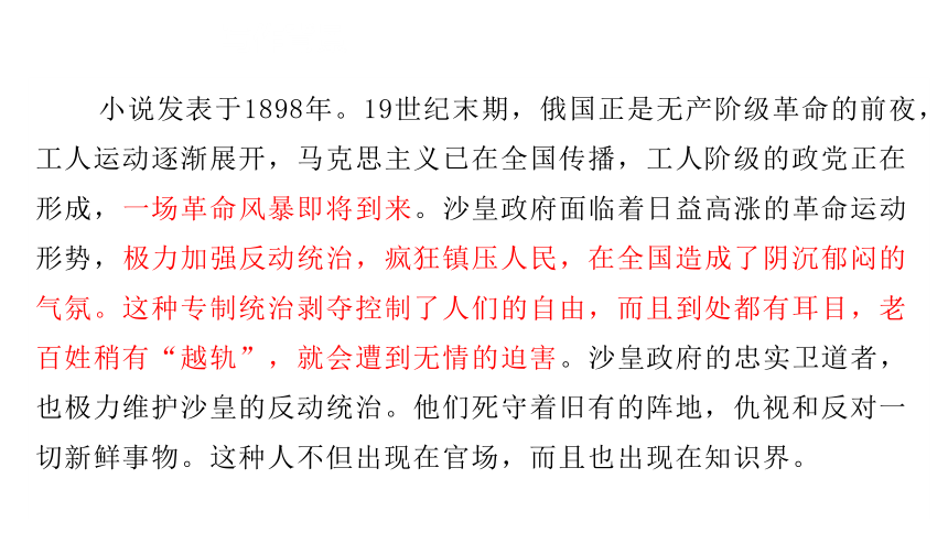 13.2《装在套子里的人》课件(共33张PPT) 2023-2024学年统编版高中语文必修下册