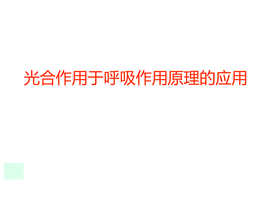 3.6.5 光合作用和呼吸作用原理的应用  课件(共22张PPT)2023--2024学年苏教版生物七年级上册