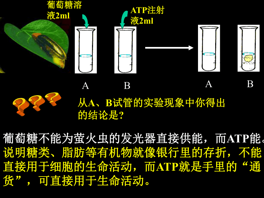 人教版高中必修一生物5.2  细胞的能量“通货” ―ATP(27张PPT)
