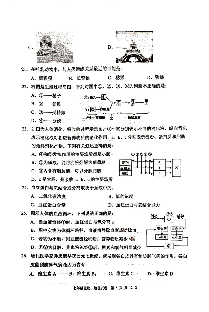 四川省德阳市广汉市2023-2024学年七年级下学期期中地理生物试题（PDF版无答案 ）