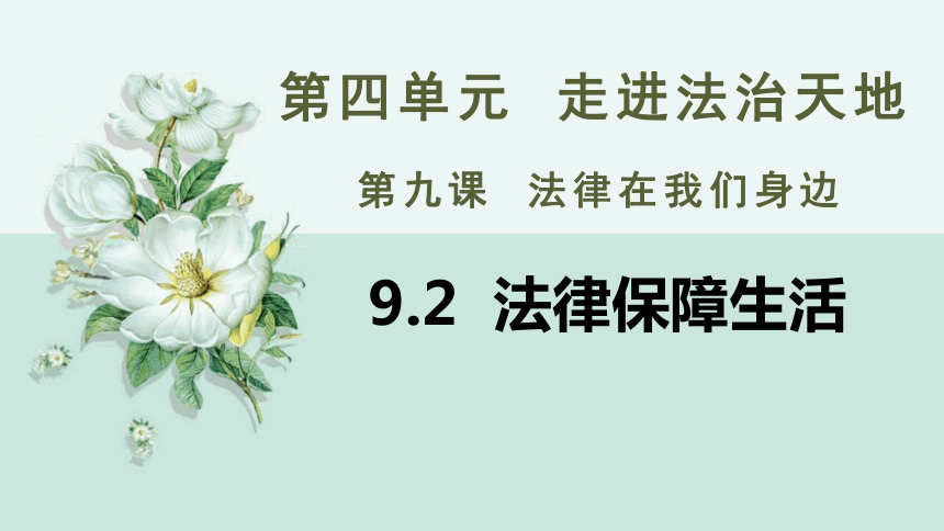 9.2 法律保障生活 课件(共30张PPT)-2023-2024学年统编版道德与法治七年级下册