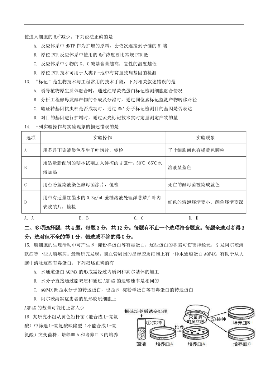 江苏省扬州市高邮市2023-2024学年高二下学期5月月考生物试卷（含答案）
