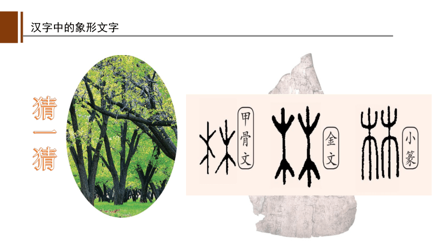 一年级下册美术课件-第20课汉字中的象形文字 人教版 (共31张PPT)