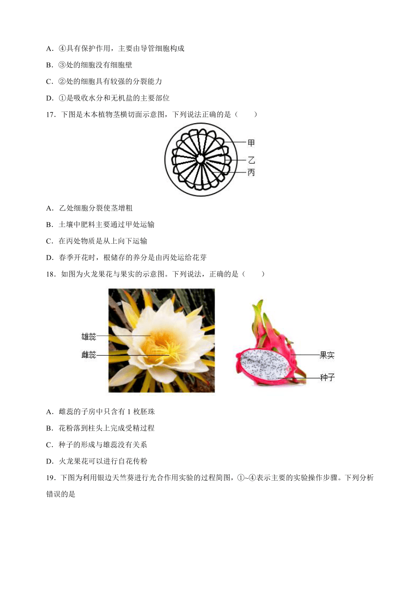 易错点15 选择题必刷66题-备战2024年中考生物易错题（含解析）