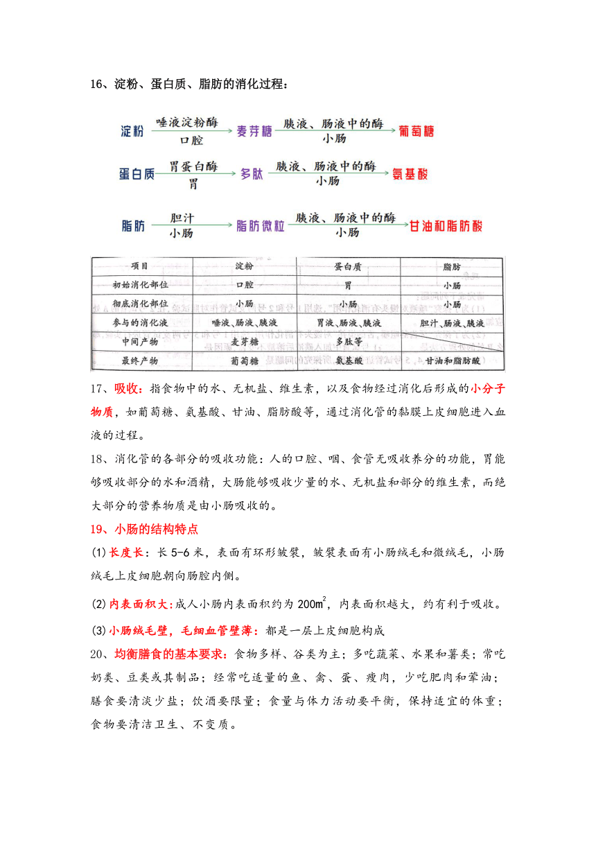 2023-2024学年北师大版生物七年级下册知识点总结（文字素材）