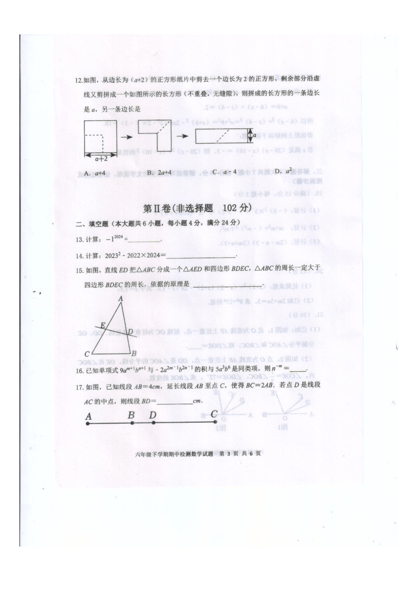 山东省泰安市新泰市2023-2024学年六年级下学期4月期中数学试题（图片版，含答案）