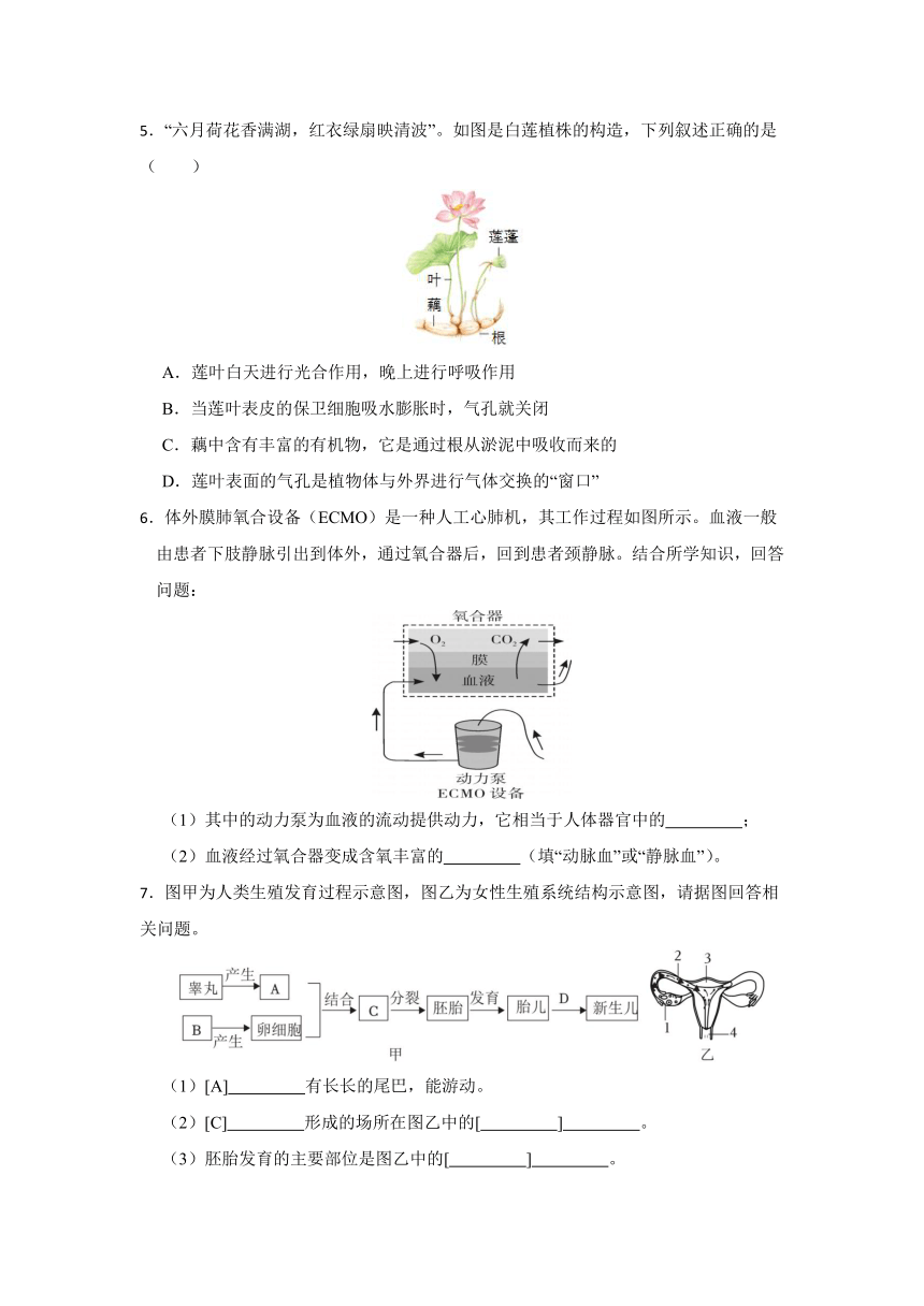 2024年浙江省科学中考考前每日一练 第20卷（含解析）