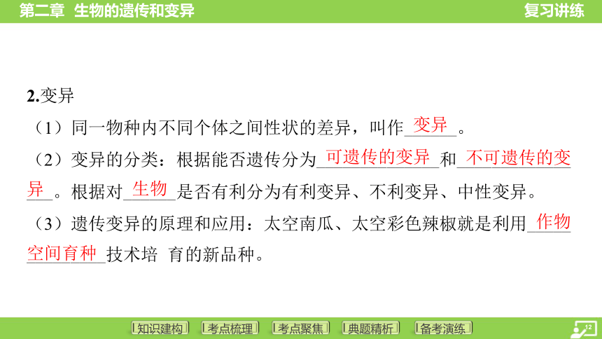 第一篇 第六单元 第二章 生物的遗传和变异  课件(共43张PPT) 2024中考生物北师版总复习专题突破(冀少版)