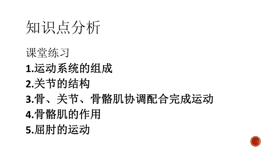 人教版八年级上册五单元 第二章 第二节 先天性行为和学习行为 课件（共29张PPT）