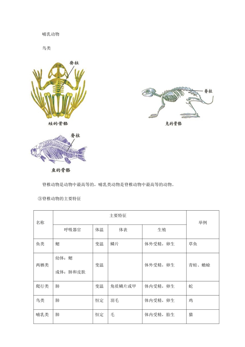 浙教版七年级科学暑期预习 第6讲：常见的动植物 讲义（机构）（含答案）