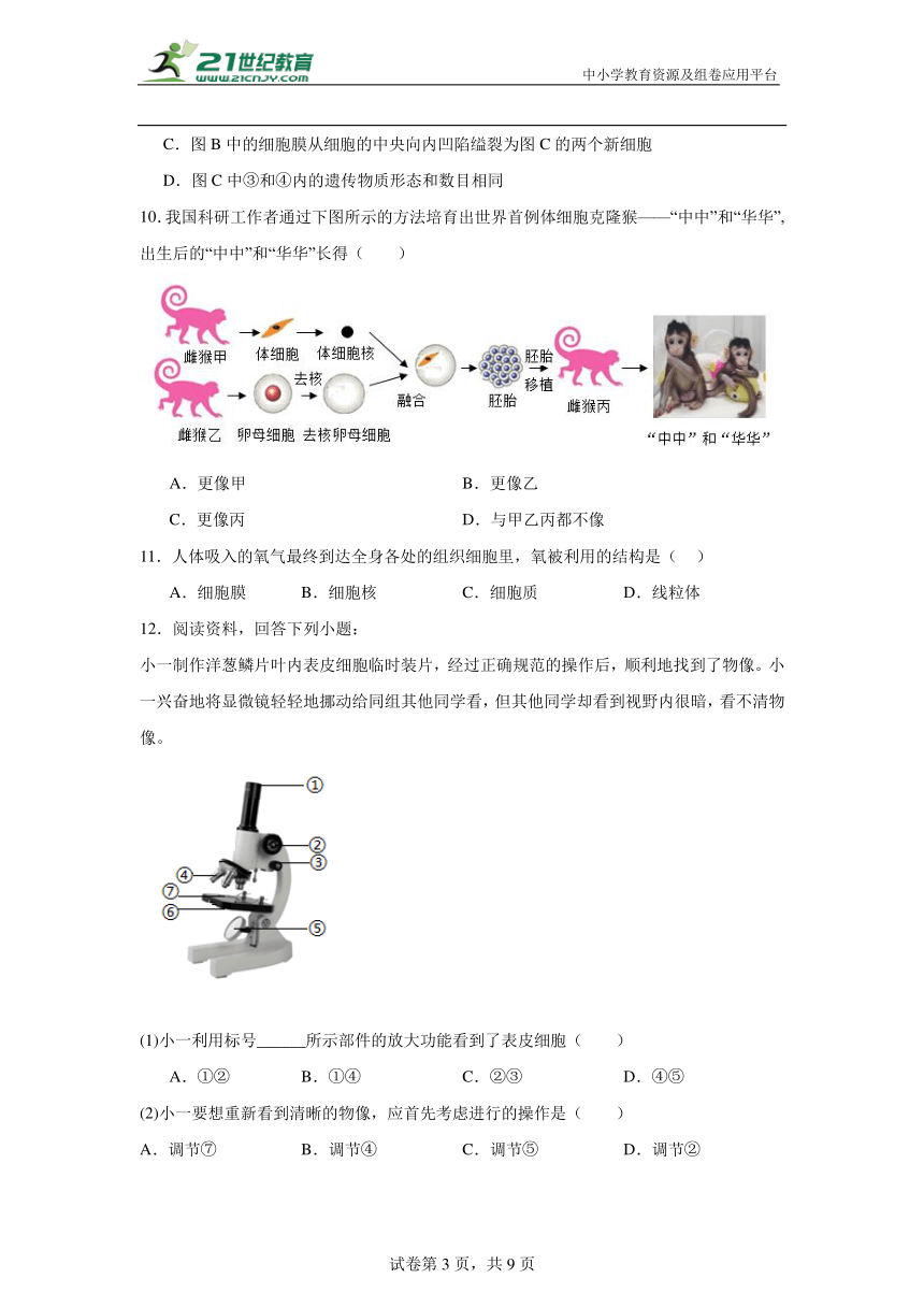 人教版中考一轮复习---七上（三）（含解析）