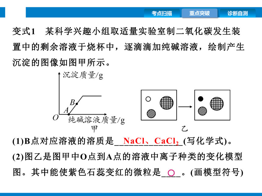 2024浙江省中考科学复习第38讲　重要的盐（课件  37张PPT）