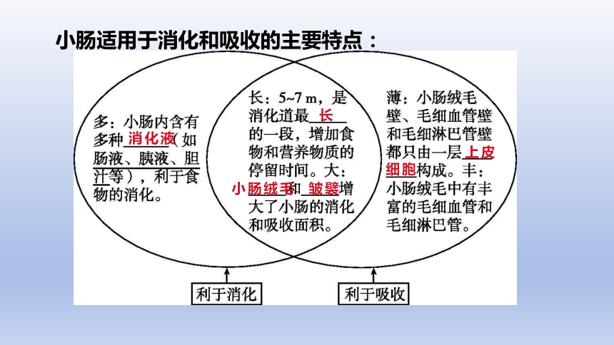 2024年江苏省徐州中考生物总复习知识点课件(共111张PPT)