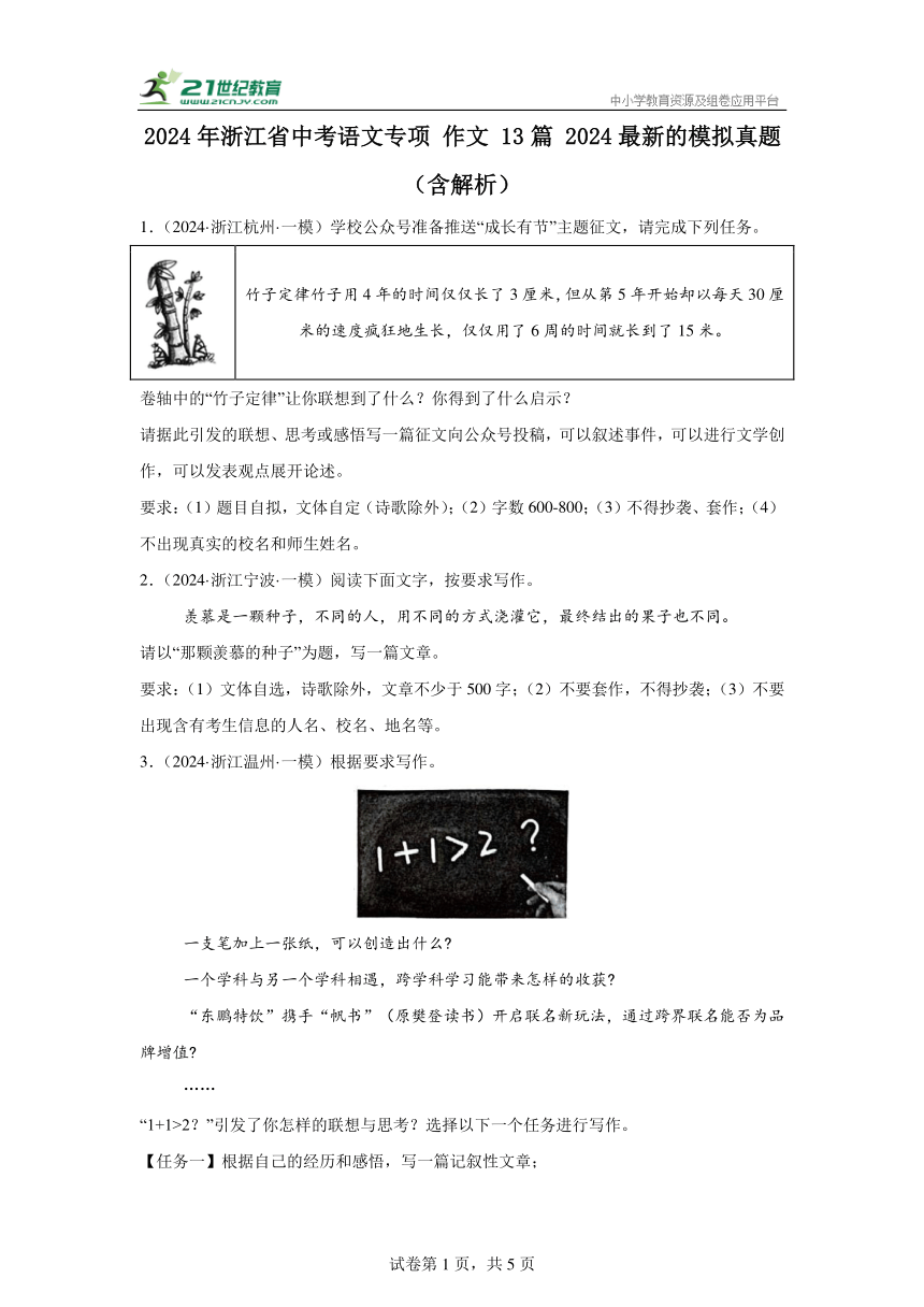 2024年浙江省中考语文专项 作文 13篇 2024最新的模拟真题（含解析）