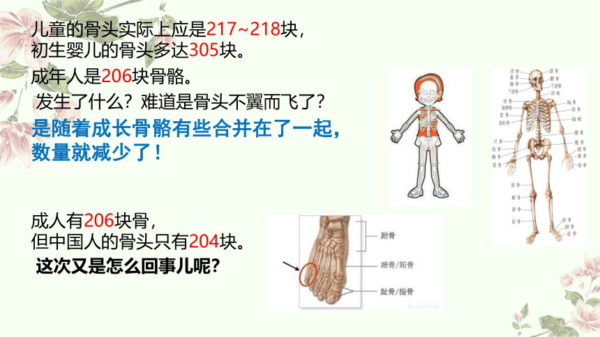 小学科学教科版五年级上册：2-身体的运动-教学课件(共13张PPT)