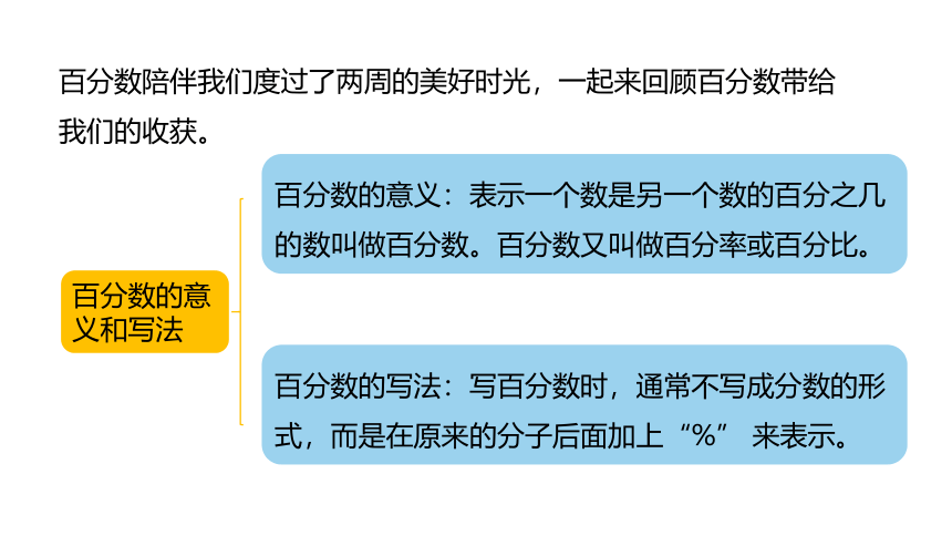 冀教版数学六年级上册第3单元百分数整理与复习课件（20张PPT)