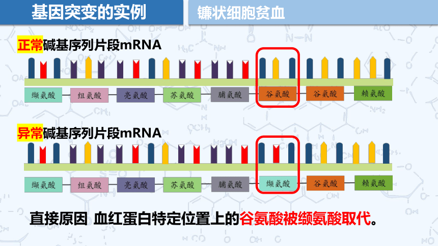 5.1 基因突变和基因重组课件（共29张PPT）人教版2019必修2