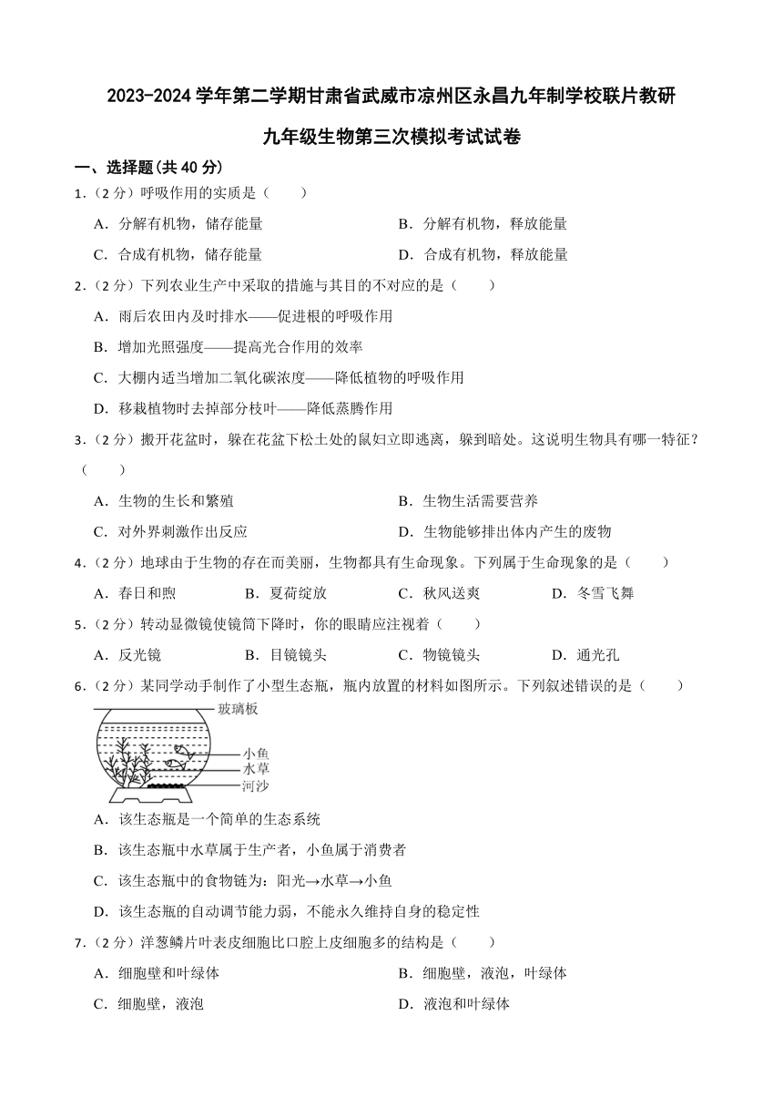 2024年甘肃省武威市凉州区永昌九年制学校教研联片九年级三模生物试题（含答案）