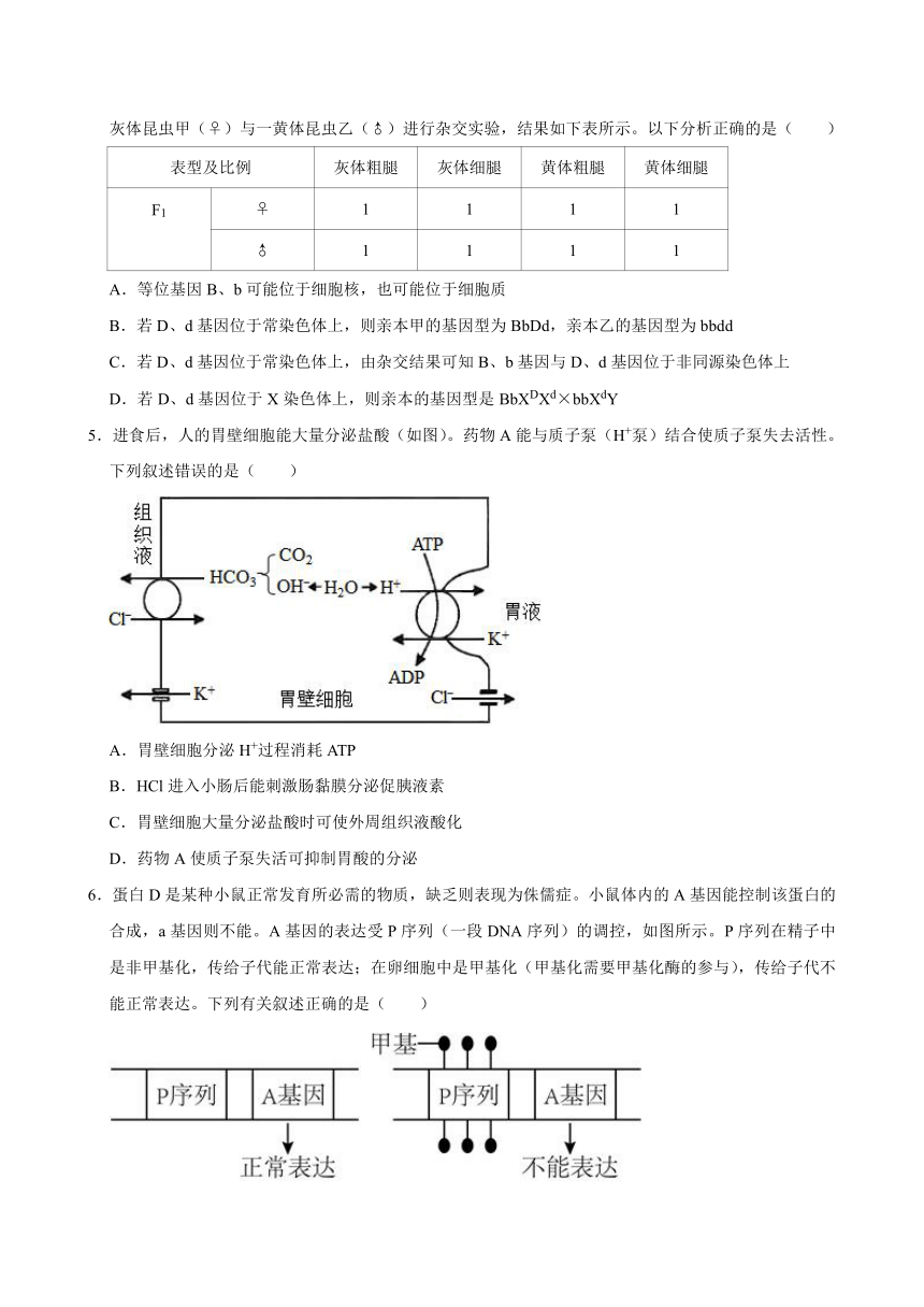 湖南省岳阳市岳汨五月联考2023-2024学年高三下学期5月月考生物学试题（含答案）