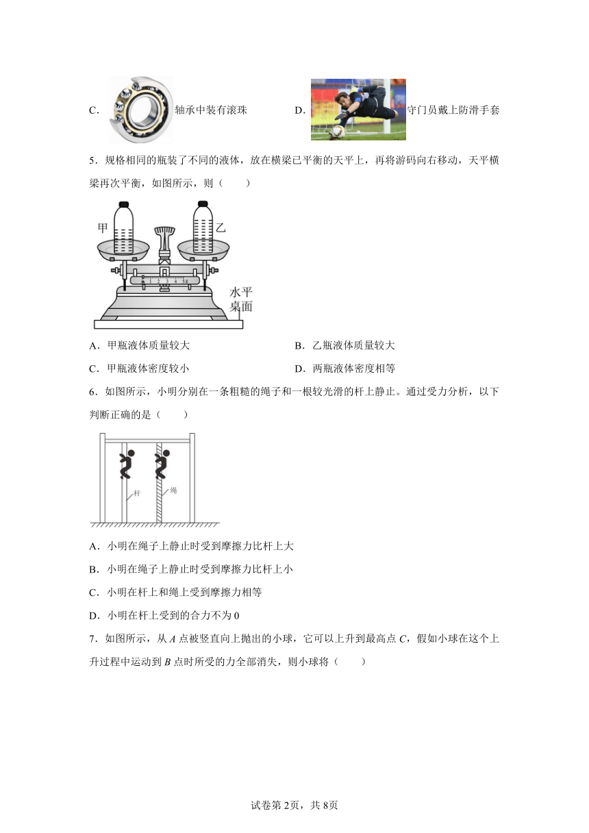 广州市外国语学校2023-2024学年下学期期中质量检测八年级物理试题卷（解析版）