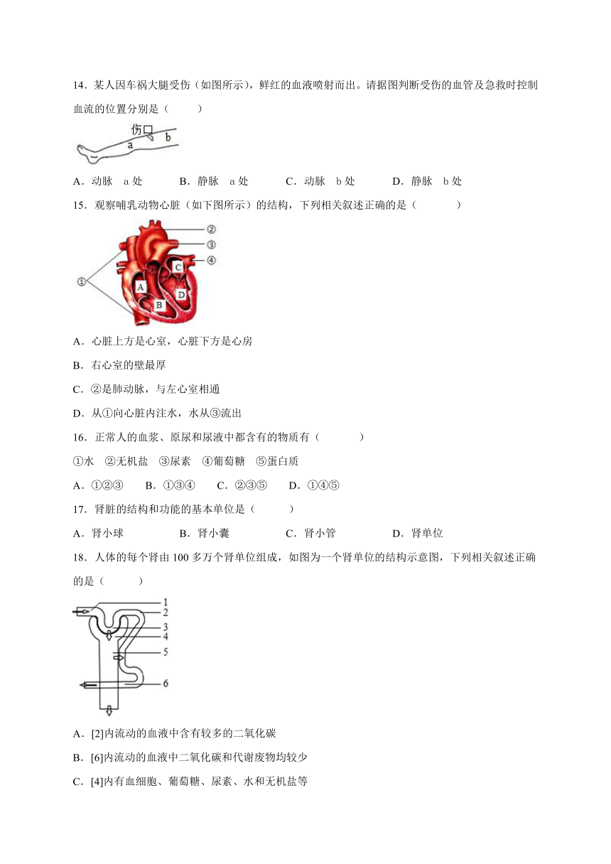 河北省邯郸市魏县2019-2020学年七年级下学期期末考试生物试题（Word版含答案）