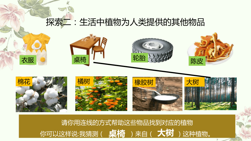 小学科学教科版一年级上册：我们离不开植物科学阅读-教学课件(共32张PPT+视频)