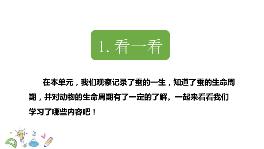 教科版小学科学三年级下册《动物的一生》单元复习PPT（39张）