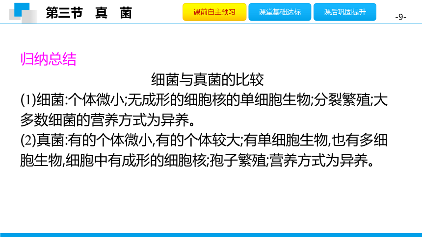 5.4.3 真　菌-2020年秋人教版八年级上册生物课件(共28张PPT)