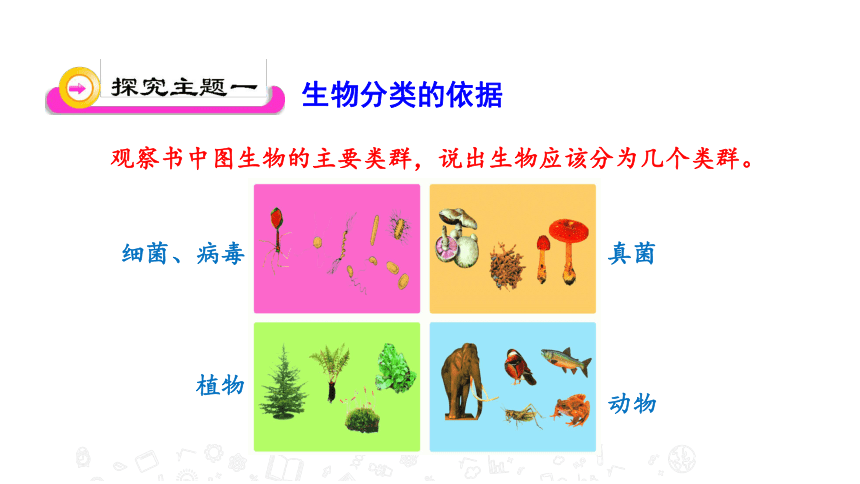 2020年秋苏教版八年级上册生物14.4 生物的分类 课件(共15张PPT)