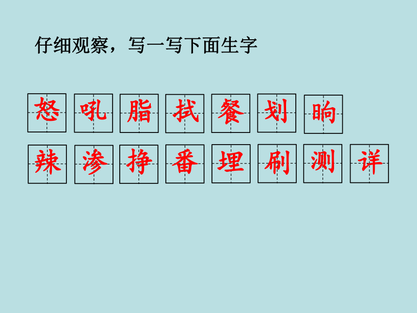 5 琥珀 课件（21张）